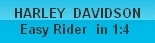 Harley Davidson Easy Rider