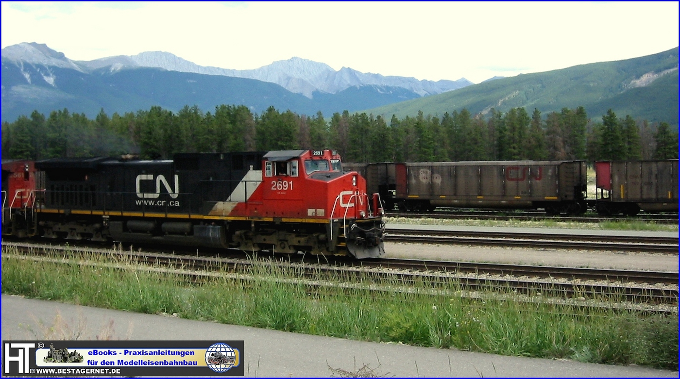 CN 2691