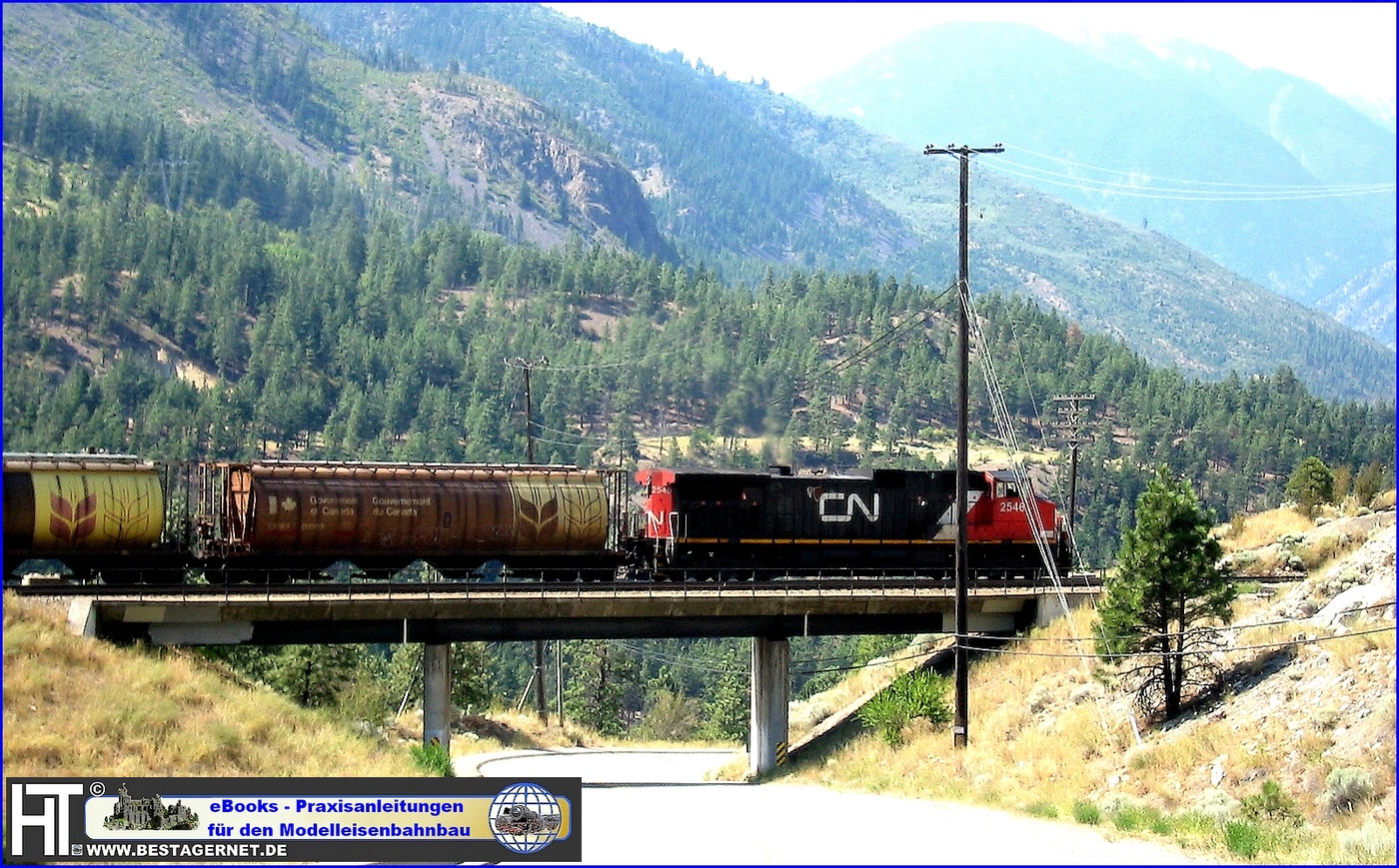 CN 2546