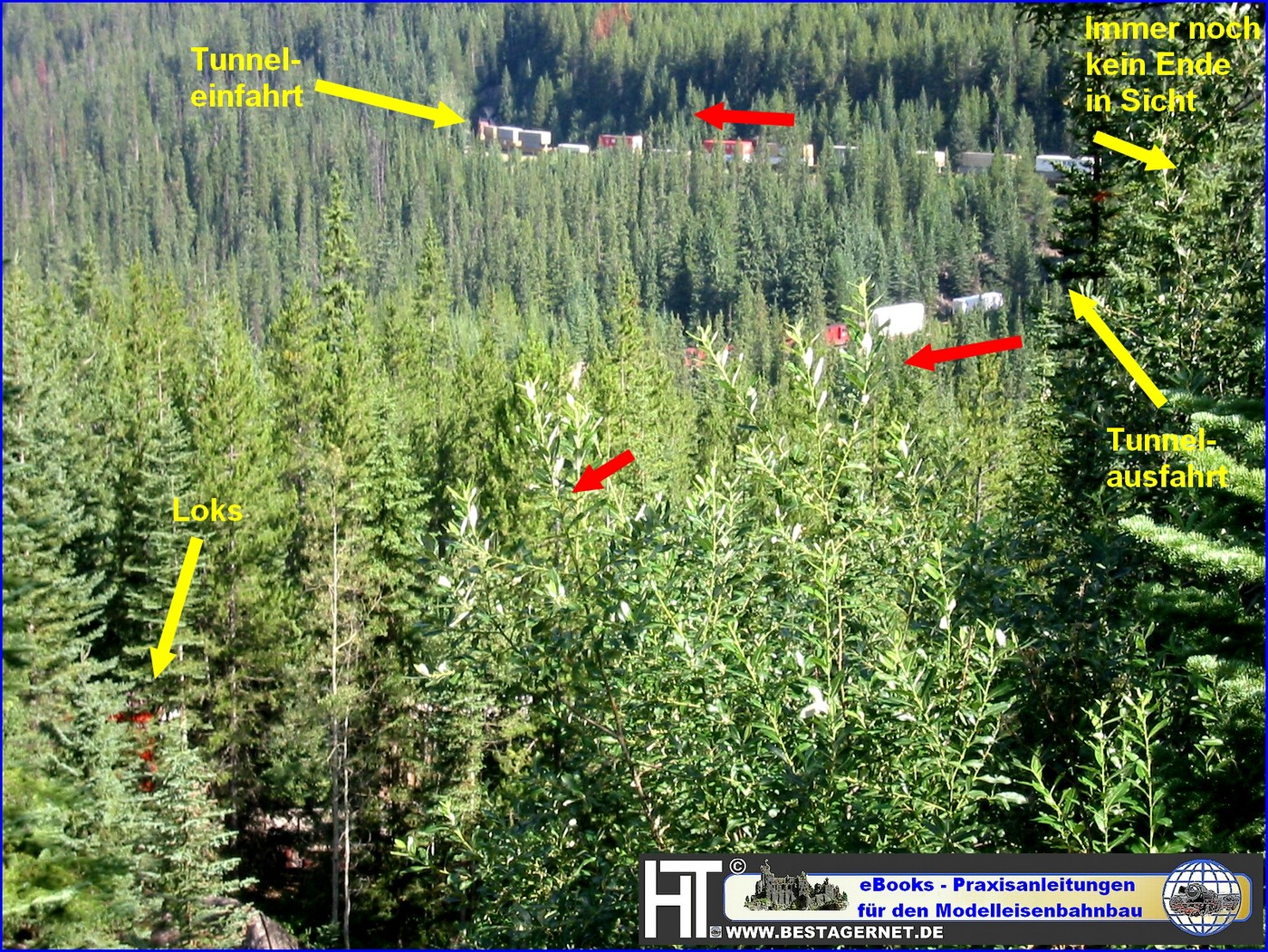 Spiral Tunnels Siral Tunnel Kicking Horse Pass BC