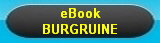 eBook Burgruine